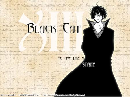 Black Cat Train